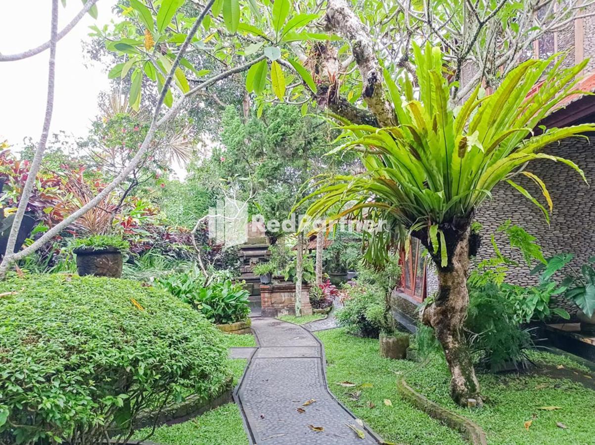 Nando House Hospedagem domiciliar Ubud
