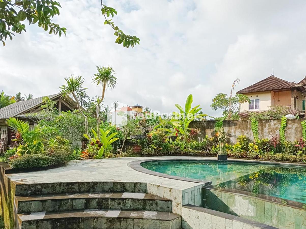 Accommodatie bij particulieren Nando House *