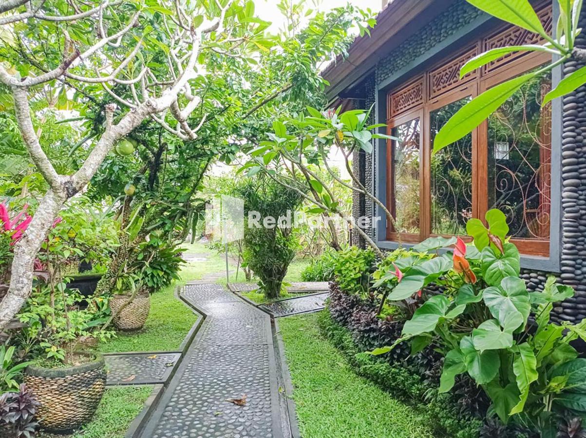 Nando House Accommodatie bij particulieren Ubud