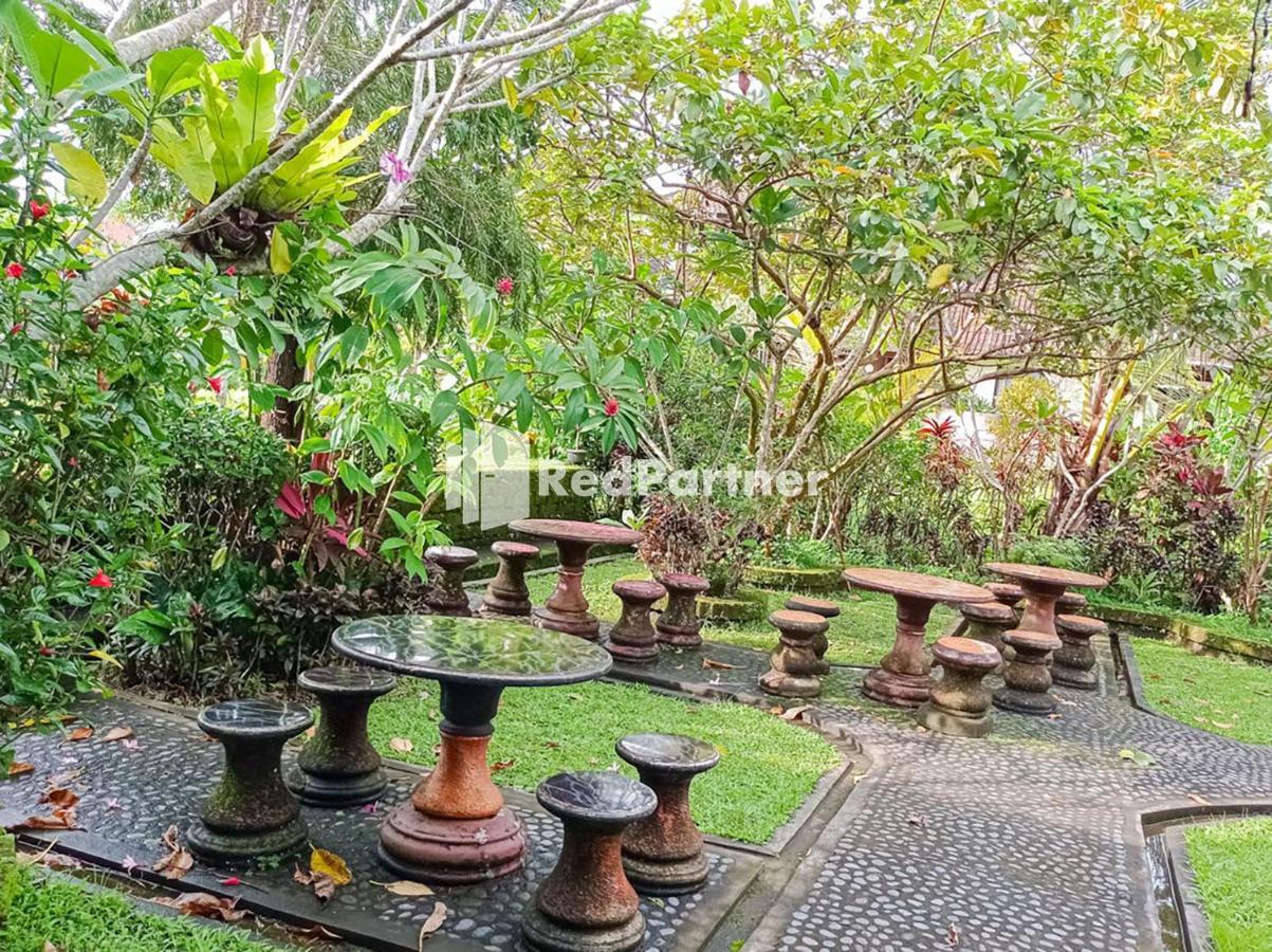 Accommodatie bij particulieren Nando House Ubud